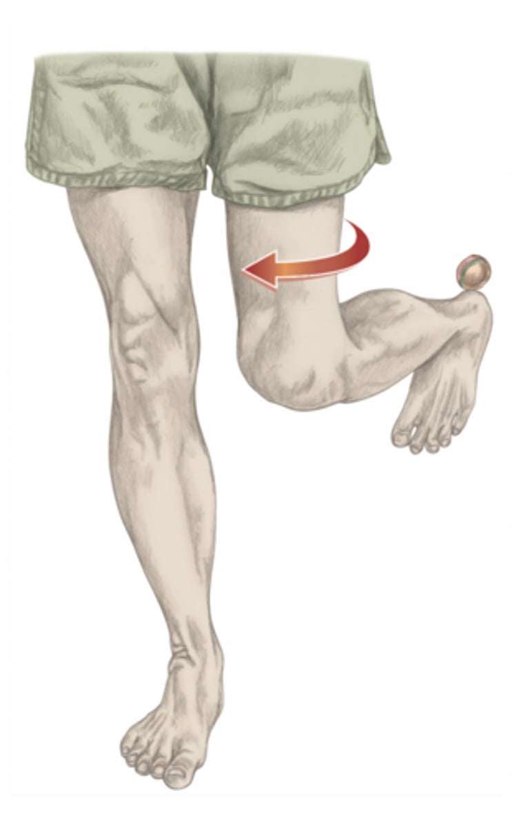 <p>please identify the movement and its location</p>