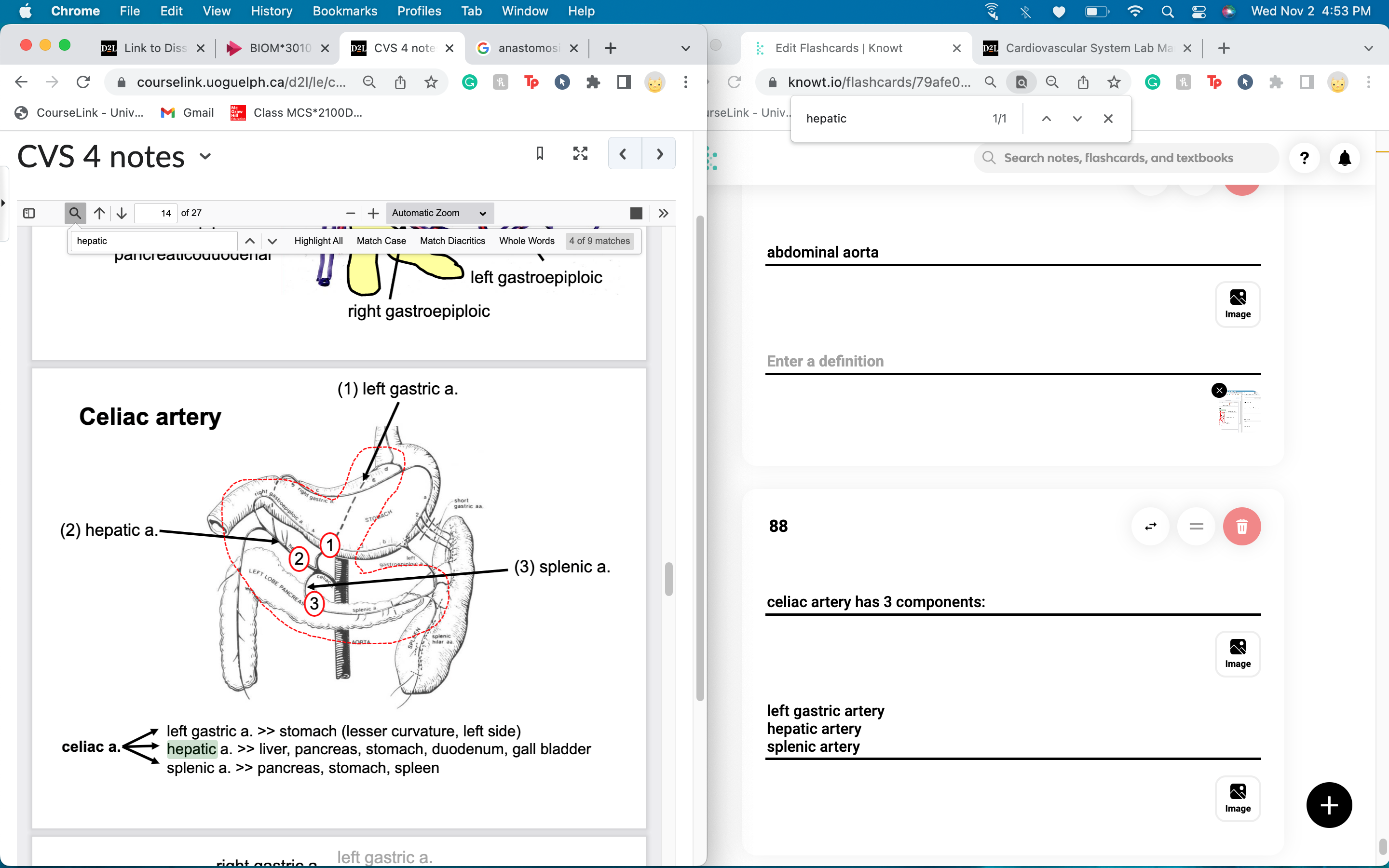 left gastric artery
hepatic artery
splenic artery