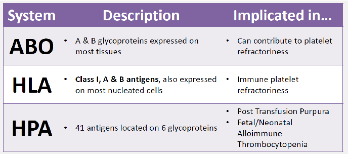<ul><li><p>ABO: A &amp; B glycoprotein</p></li><li><p>HLA: class I, A &amp; B antigens (also expressed on most nucleated cells)</p></li><li><p>HPA: 41 antigens located on 6 glycoproteins&nbsp;</p></li></ul><p></p>