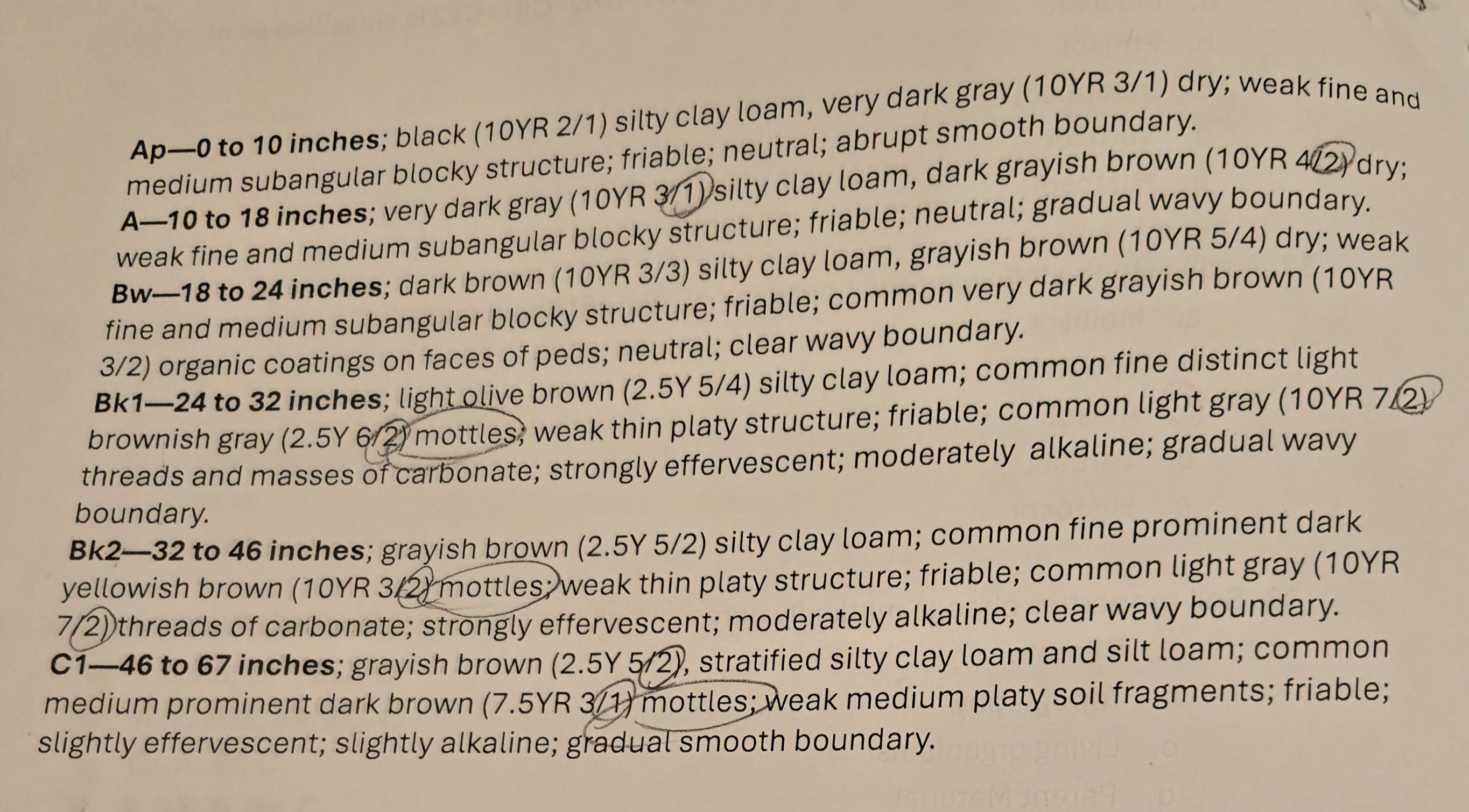 <p>Determine the drainage classification for the following soil Pedon description </p><p>a. well drained</p><p>b. moderately well drained</p><p>c. somewhat poorly drained</p><p>d. poorly drained</p><p>e. none of the above</p>