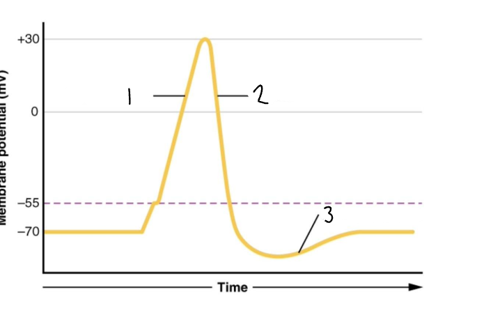 <p>Label the graph</p>