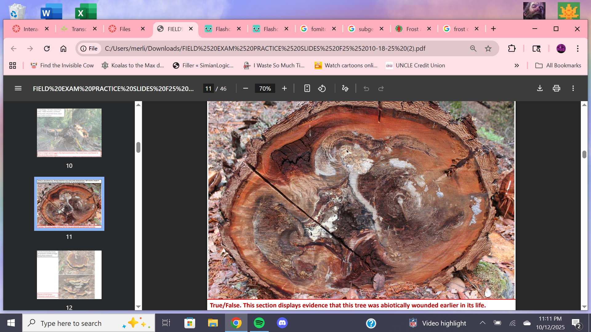 <p>What damage does tree show abiotically?</p>