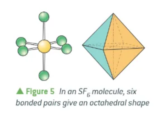 <p>eight sides to the shape it makes </p>
