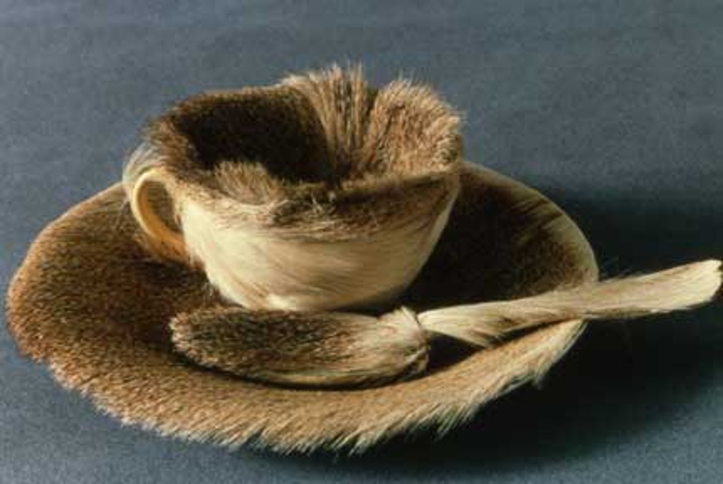 <p>Artist: Meret Oppenheim<br>Period: Surrealism<br>Dates: 1936 C.E.<br>Culture: Swiss<br>Material: Fur covered cup, saucer and spoon</p>