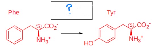 <p>fill in blank</p>