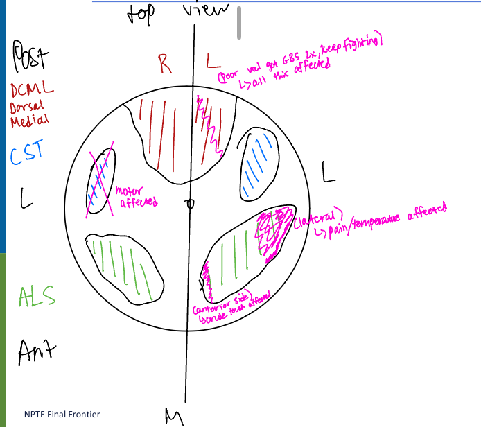 <p>study and explain it </p>