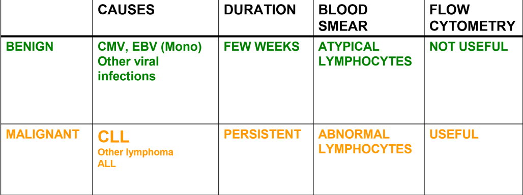 <p>Chronic lymphocytic leukemia</p><p>Mononucleolis  Virus</p>