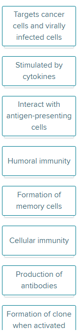 <p>Drop each label into the appropriate box(es),&nbsp;indicating whether the label is associated with&nbsp;B cells or T cells (or both). <em>Labels can be used more than once.</em></p>