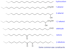 <p>Waxes</p>