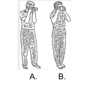 <p>Which for is the correct way to hold a camera when standing?</p>