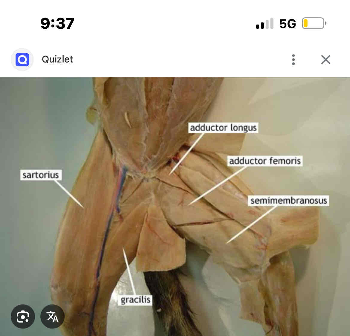 knowt flashcard image