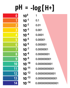 <p>way of compresses the range of H+ and OH- concentrations</p>