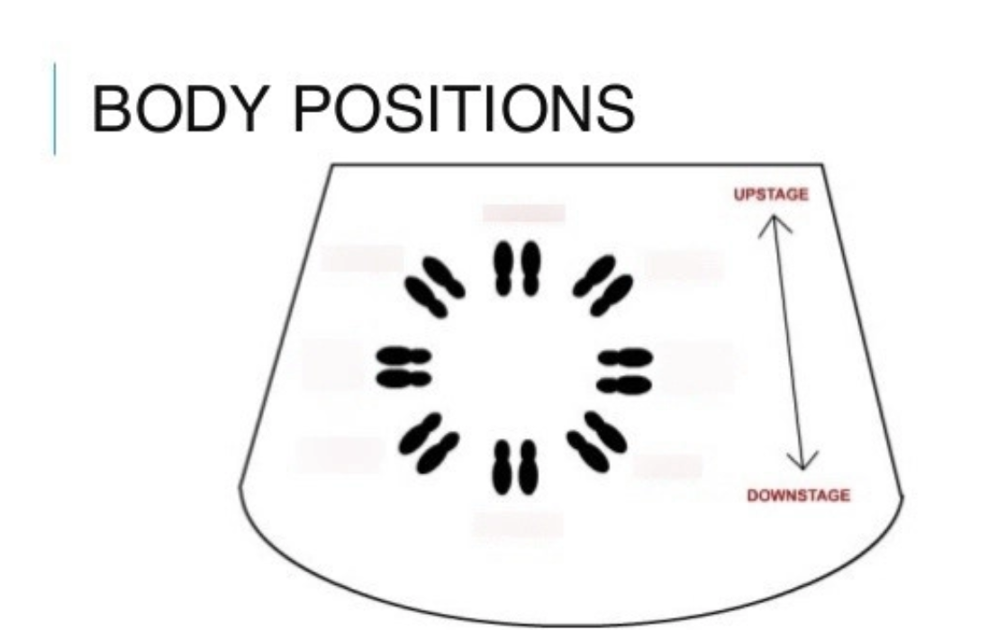 <p>What are the Body Positions in Theatre?</p>