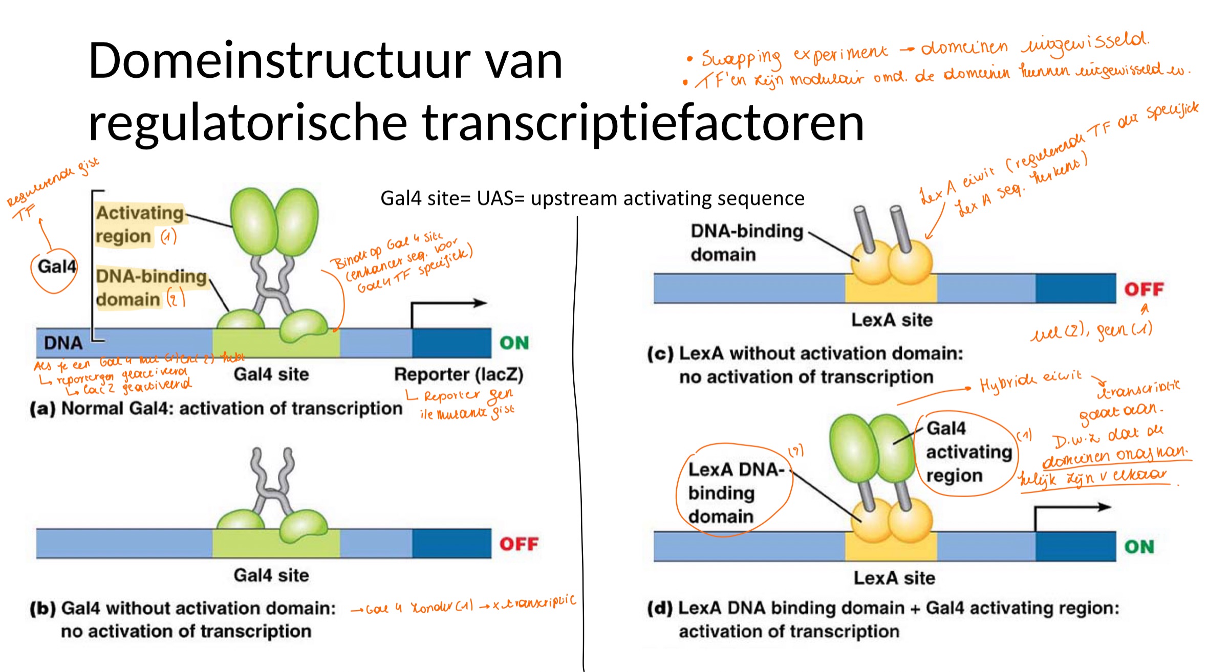<p>nee, zie experiment</p>
