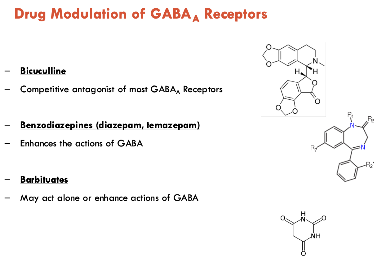 <ol><li><p><strong>Bicuculline: </strong>competitive antagonist of most GABA<sub>A</sub> receptors</p></li><li><p><strong>Benzodiazepines (diazepam, temazepam):</strong> enhances actions of GABA<sub>A</sub></p></li><li><p><strong>Barbituates:</strong> may act alone or enhance actions of GABA<sub>A</sub></p></li><li><p><strong>Ethanol:</strong> enhances actions of GABA → prolongs open time of channel, binds within TM domain</p></li><li><p><strong>General Anaesthetics</strong> <strong>(e.g. propofol)</strong>: enhances actions of GABA, may directly stimulate receptors at high conc., bing at interface between α and β subunits within TM region of channel</p></li><li><p><strong>Neurosteroids (e.g. allopregnanolone)</strong>: promotes channel opening on receptors containing α; d subunit is more sensitive</p></li></ol><p></p>