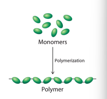 <p>polymers:</p><ul><li><p>plastics and natural materials such as rubber/cellulose are composed of very molycules called poluymers</p></li></ul><p></p><p>monomers:</p><ul><li><p>polymers are constructed from relatively small molecular fragments knwon as monomesr that are joined together</p></li></ul><p></p>