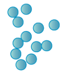 <p><span>This is an example of </span><span style="color: mediumseagreen"><strong>[shape]</strong></span><span> bacteria</span></p>