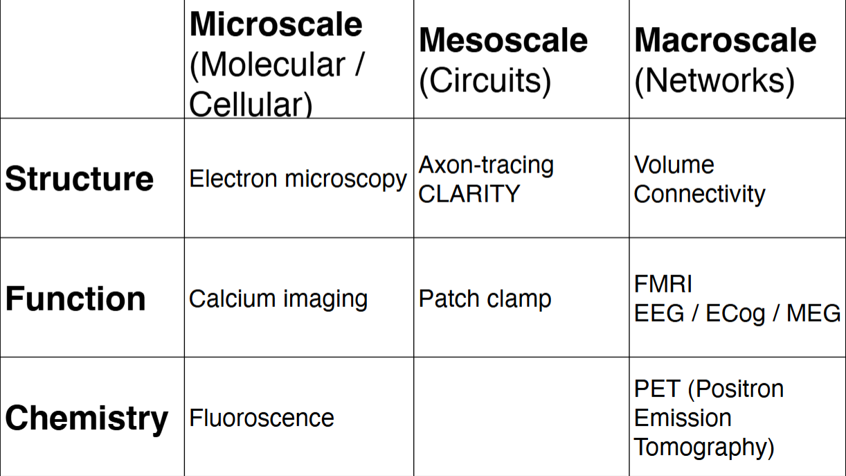 <p>Measuring the brain, three scales at which is possible:</p>
