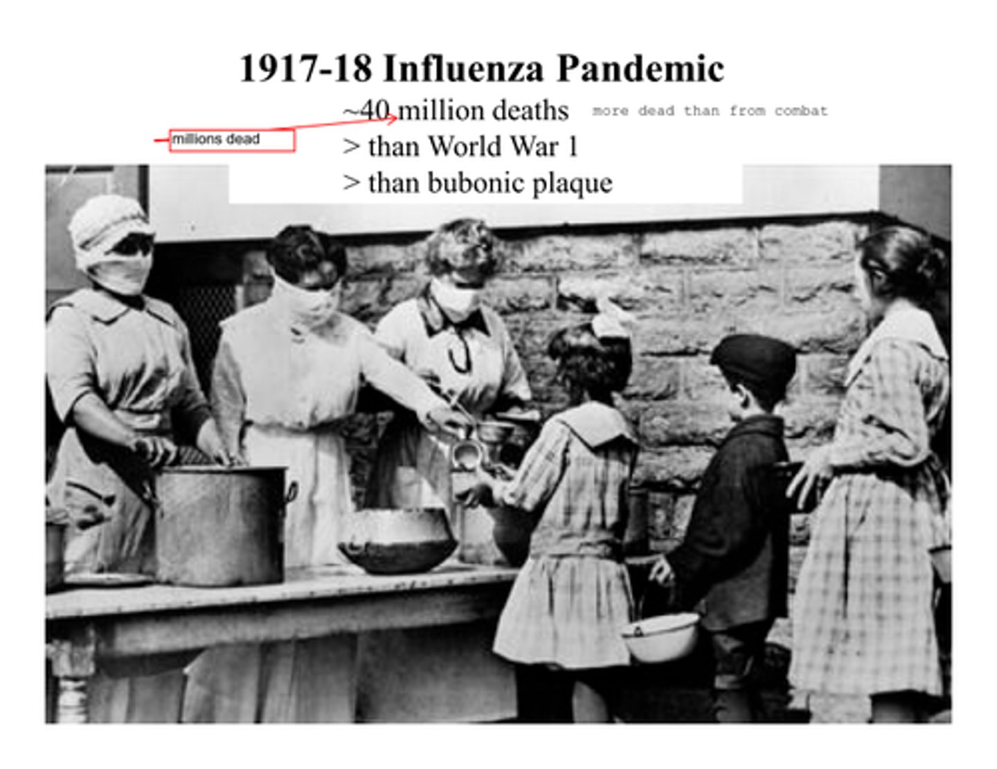 <p>1918 global outbreak of influenza, a highly contagious viral infection, killing as many as 30 million people worldwide.</p>