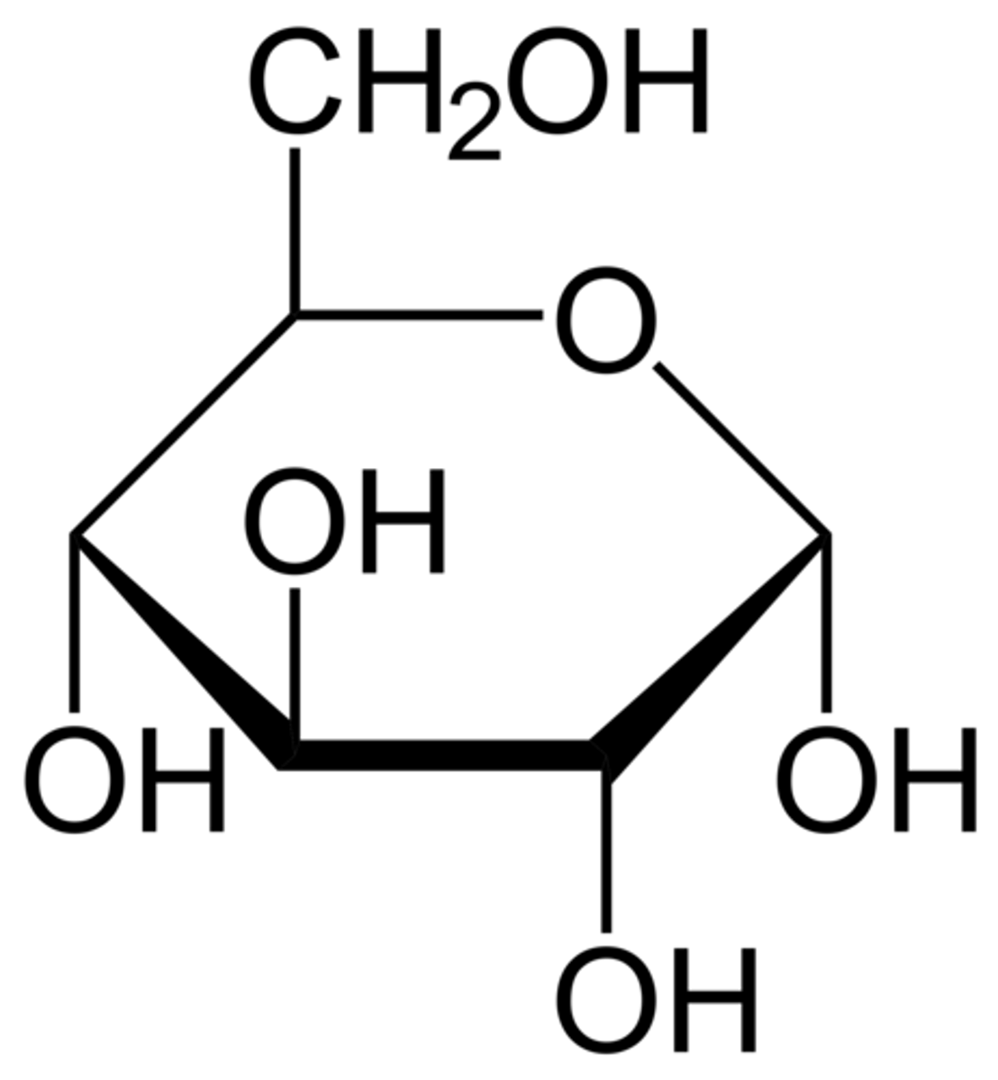 <p>the starches and sugars present in foods</p>