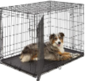<p>dog restraint #4</p>
