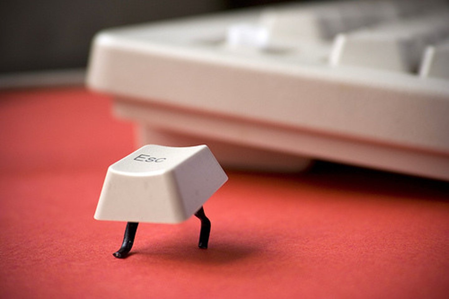 <p>trốn thoát từ</p>