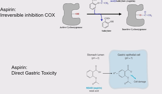 <p>it irriversibly covently blocks COX 1 receptors, asprin become ionised in the stomach mucosa as it is a weak acid, directly damaging it, this is why asprin is enteric coated&nbsp;</p>