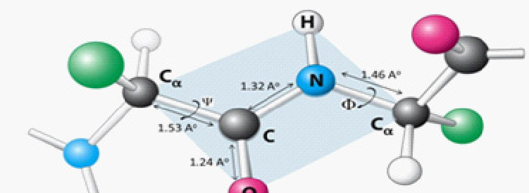 <p>At psi and phi</p>