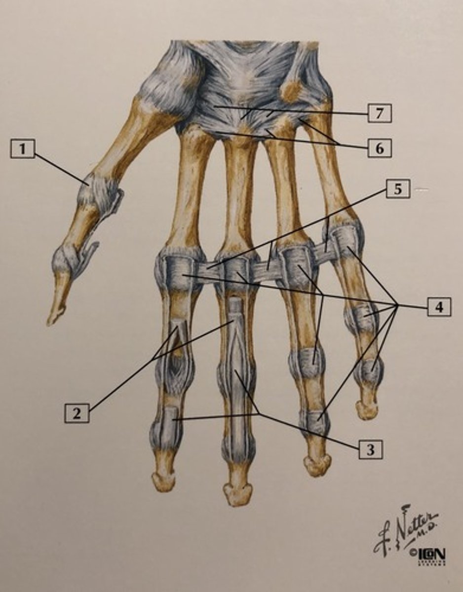 <p>4</p>