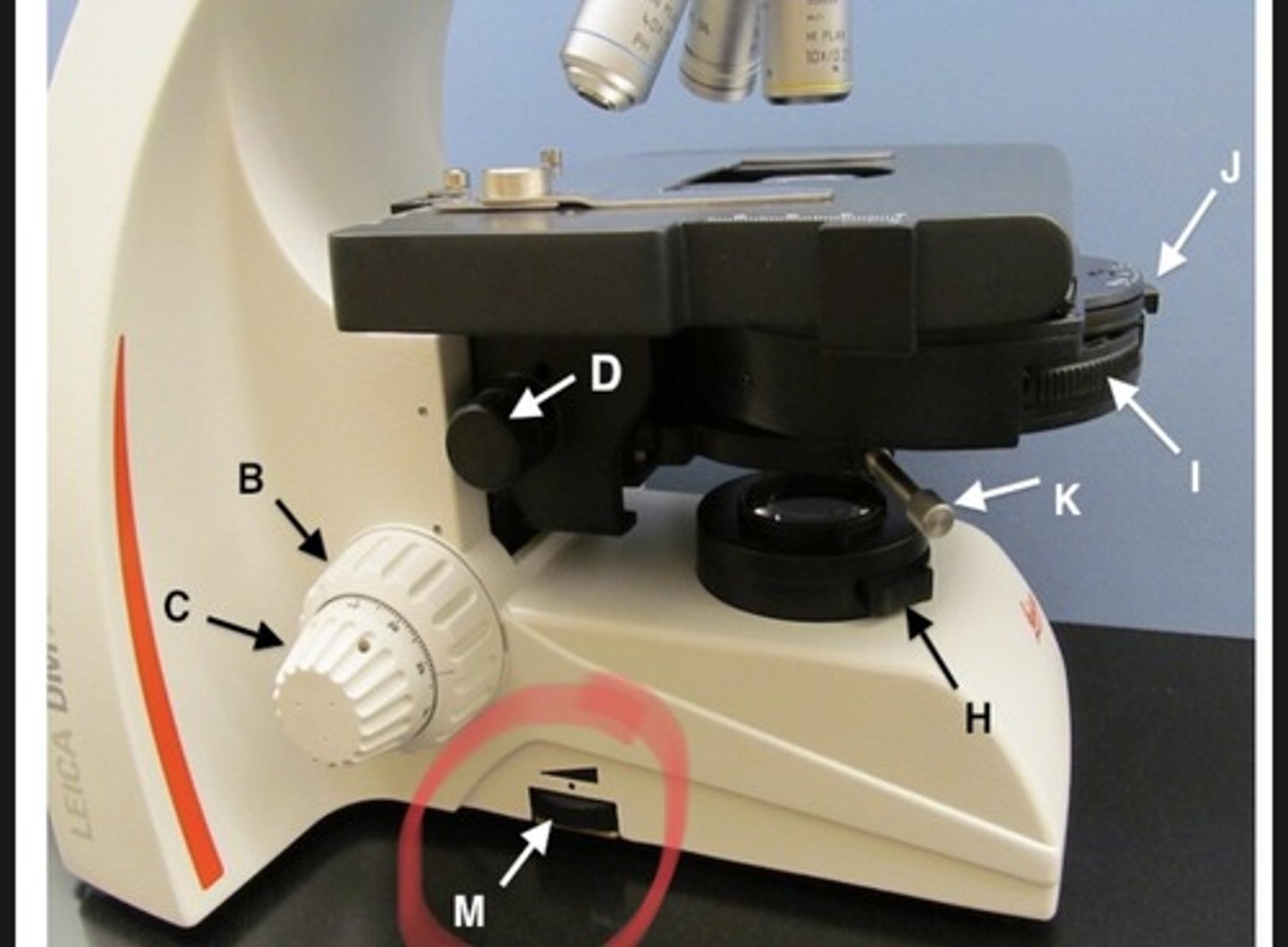 <p>M</p>