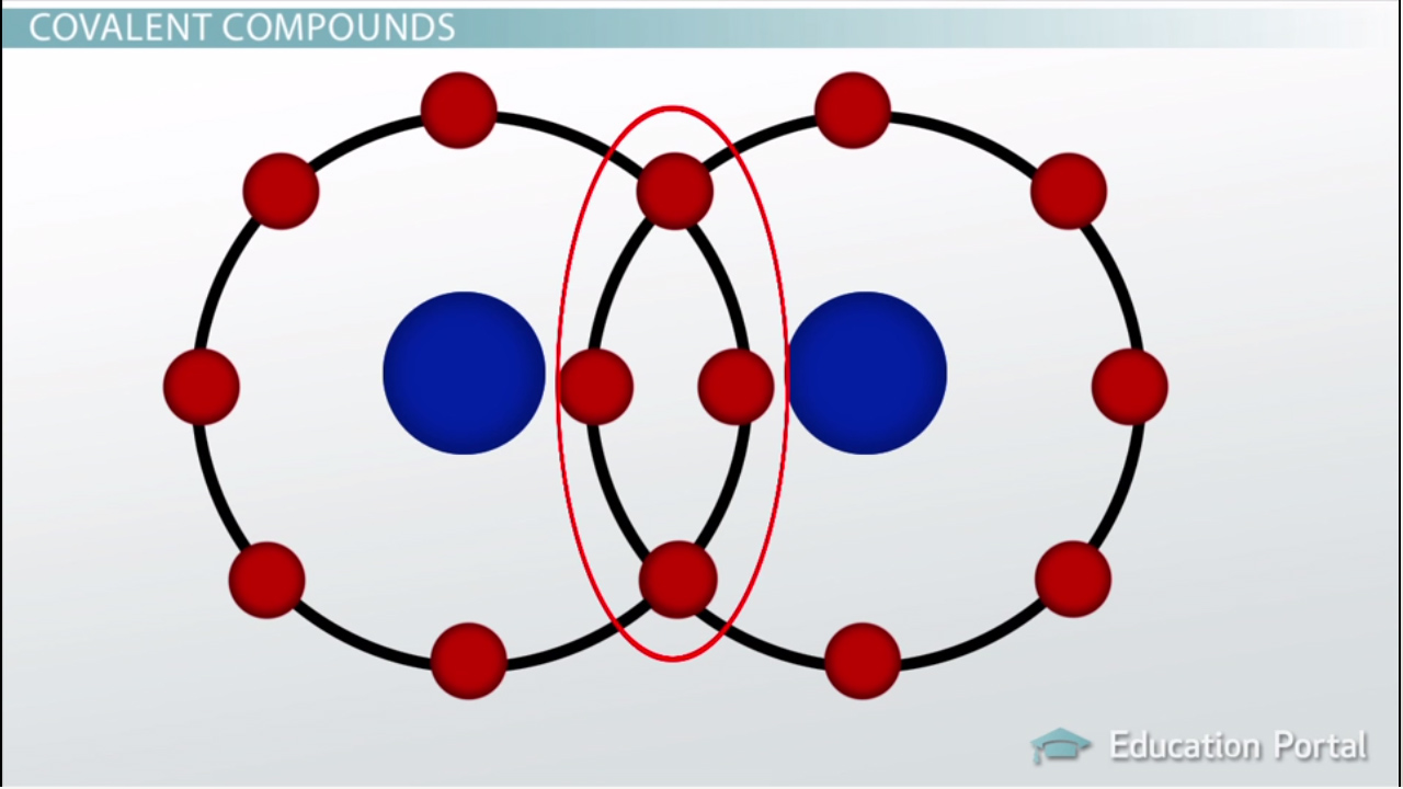 <p>a bond formed when 2 atoms share electrons</p>