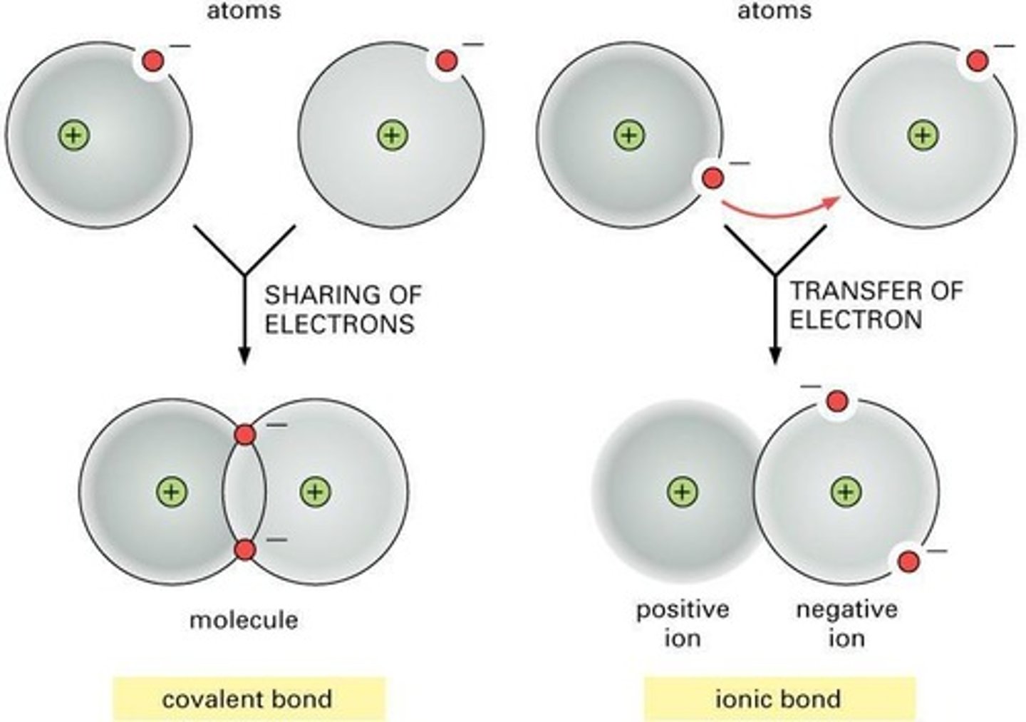 <p>Bonds that can either be non-polar (ie. lipids) or polar (ie. water).</p>