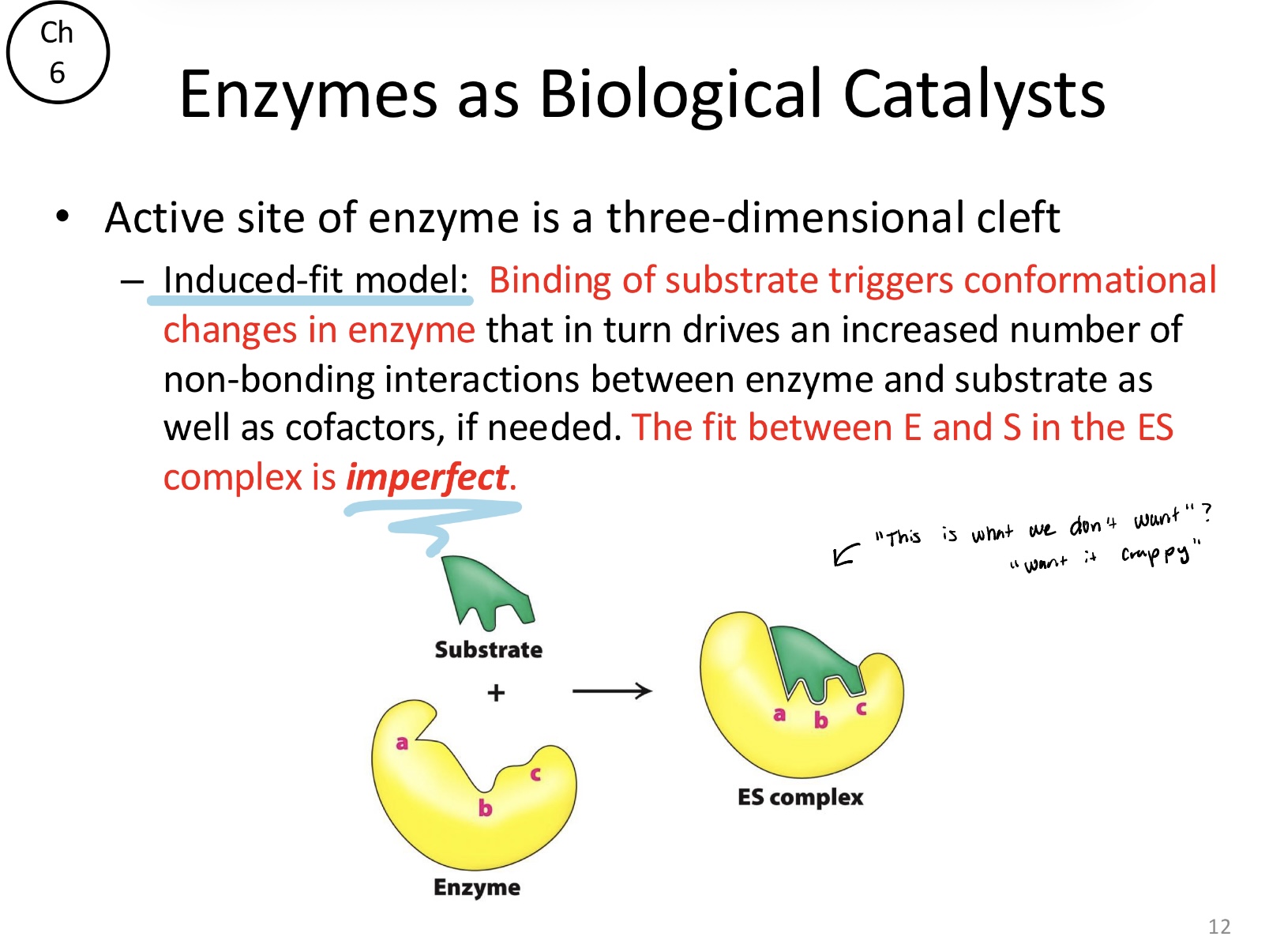 <p>Binding of substrate triggers conformational changes in the enzyme. This leads to an “imperfect” fit in the enzyme-substrate (ES) complex that maximizes non-bonding interactions to drive the reaction forward</p>