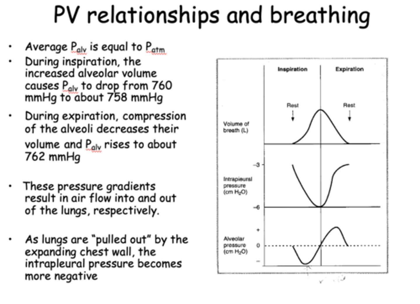 <p>Negative</p>