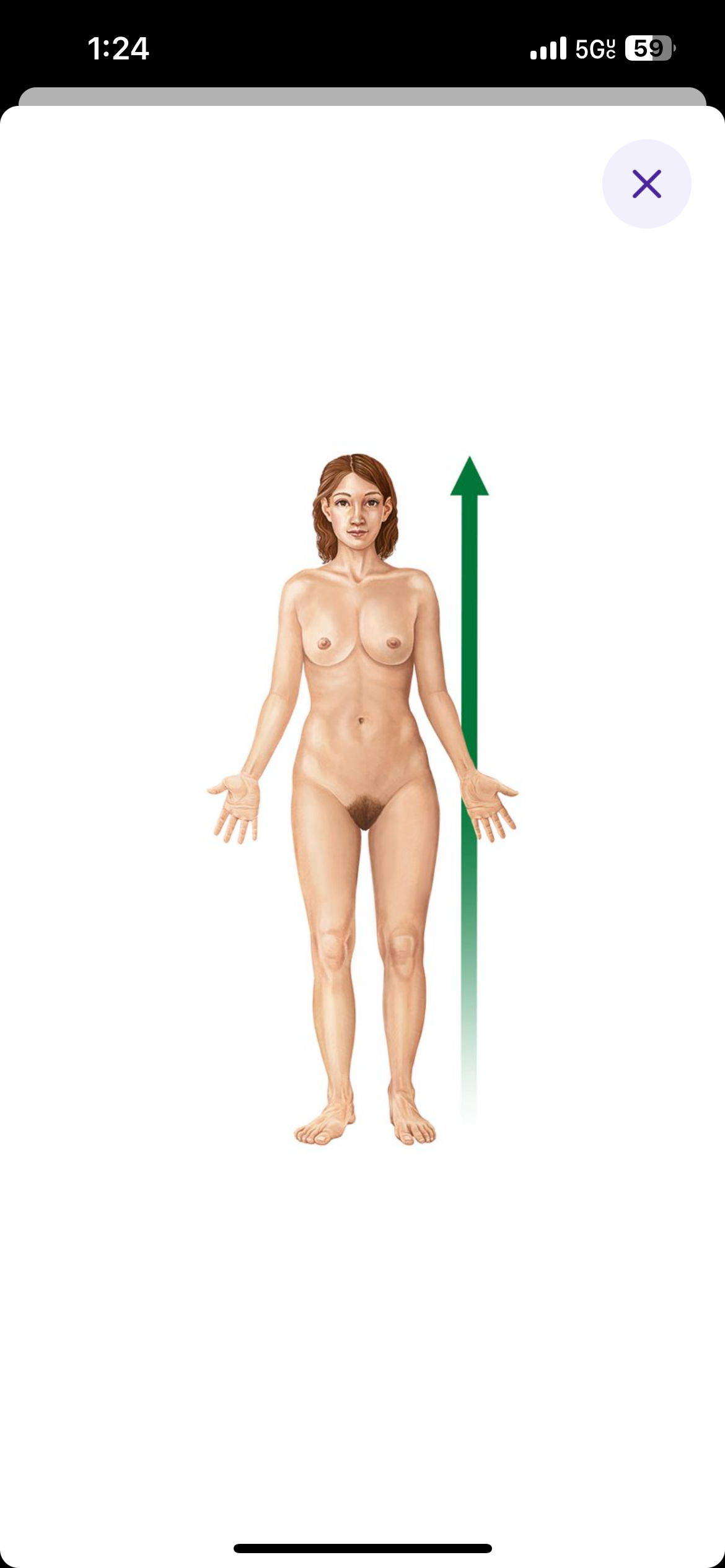 <p>Above or toward the head used to describe position of a body part in relative to another </p><p>Ex: heart is superior to the stomach </p>