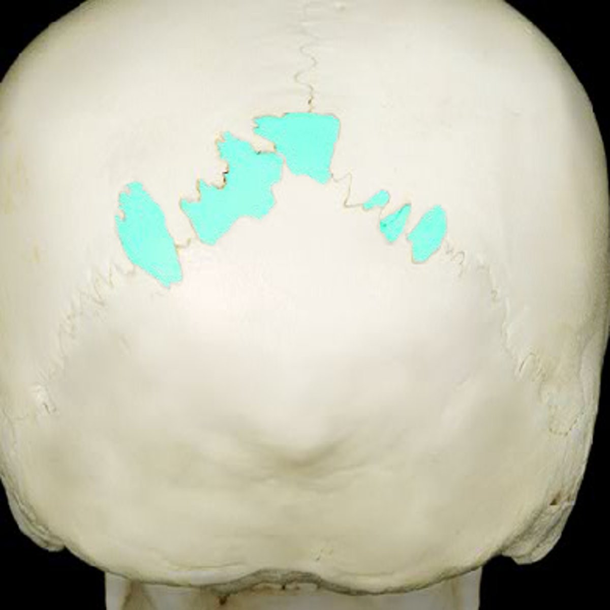 <p><em>identify the structure:</em></p>