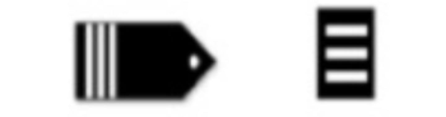<p>What is this Cadet Rank?</p>