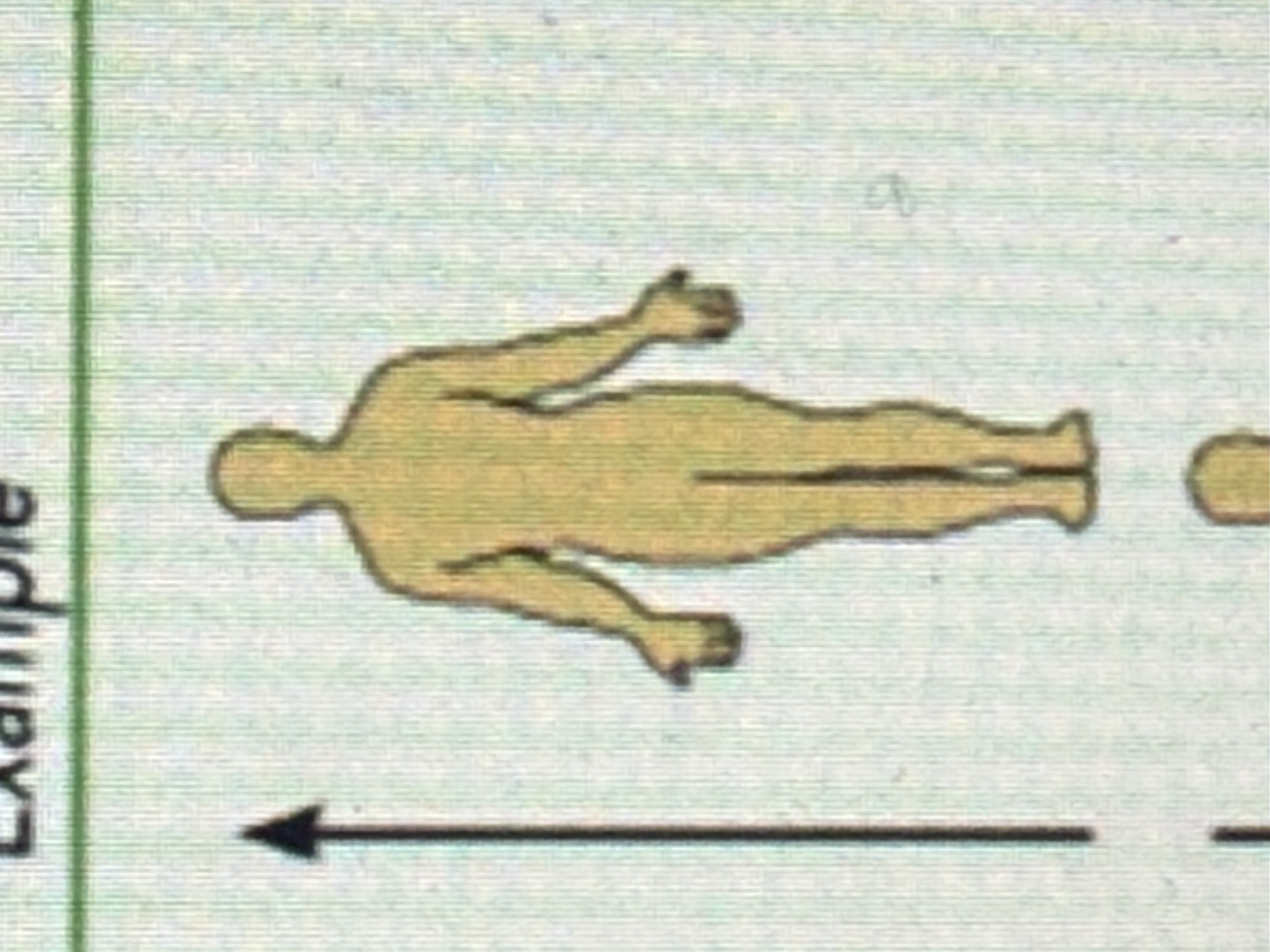 <p>Toward the head end or upper part of a structure or the body; above.</p>
