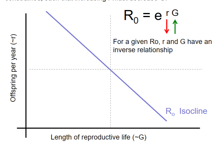 <p>As G (generation time) increases, then r decreases and vice versa</p>