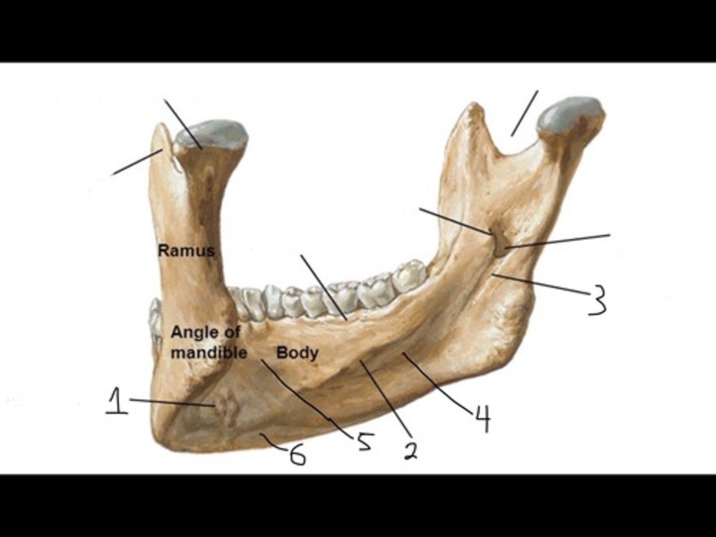 <p>6</p>