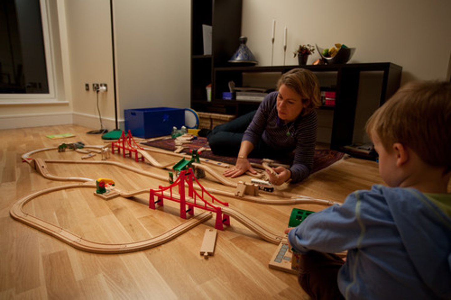 <p>to play with electric trains</p>