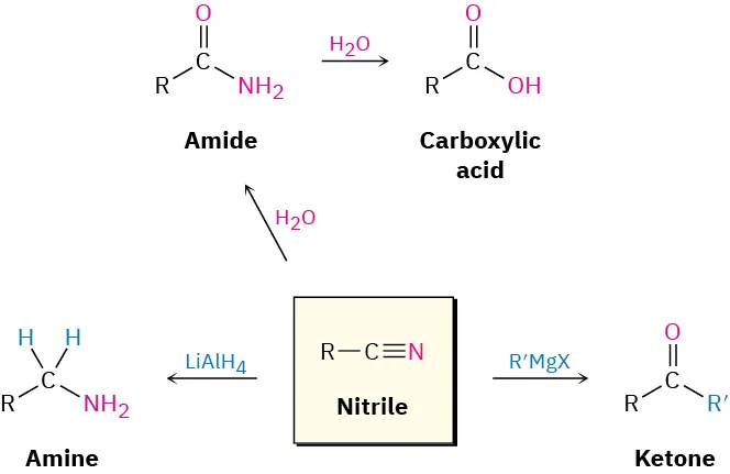 <p>Correct answer: 1°, 2°, 3° amides and nitriles</p>