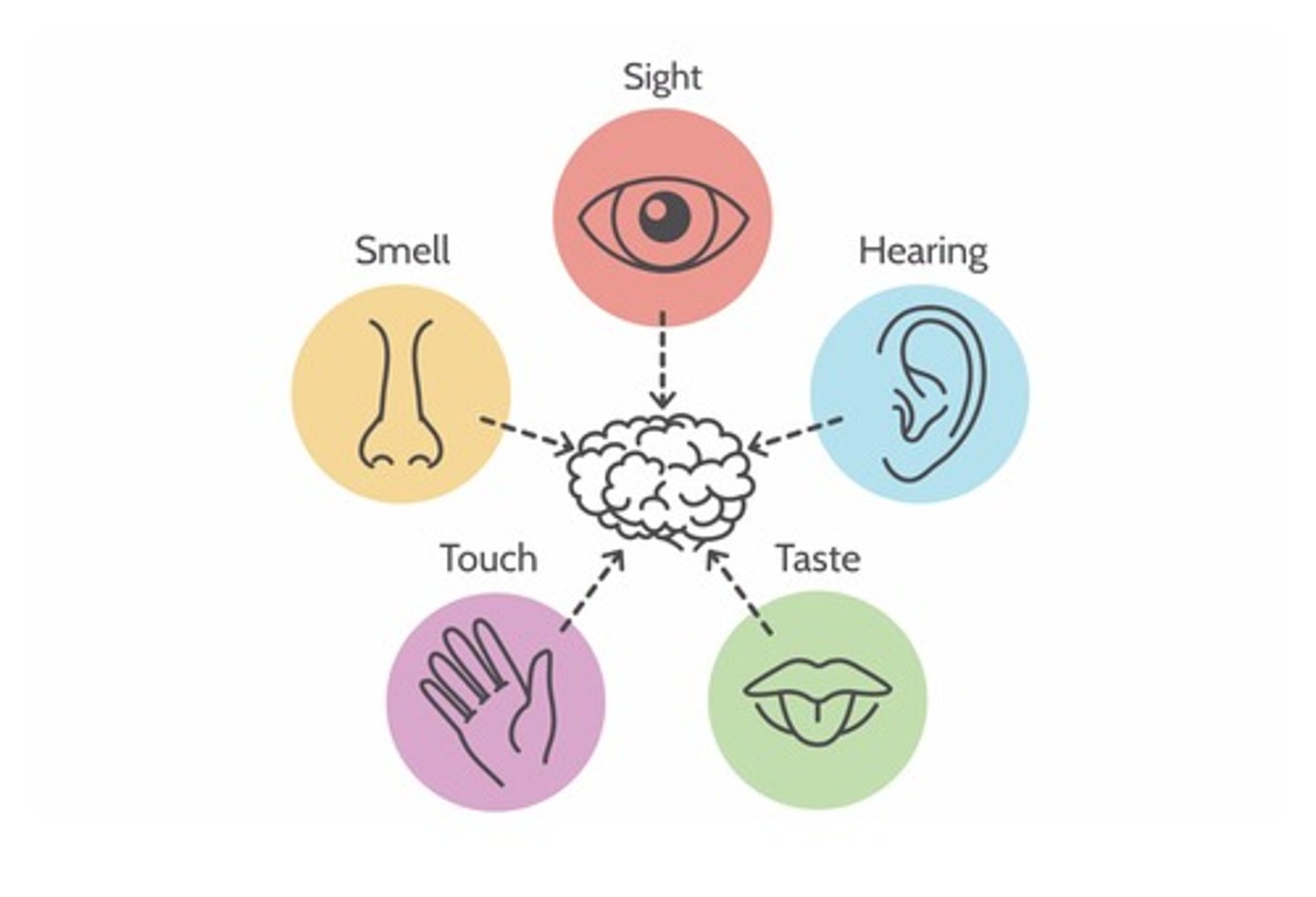 <p>ý thức, cảm giác (tinh thần). Ex: A strong _____ of purpose leads to progress.</p>