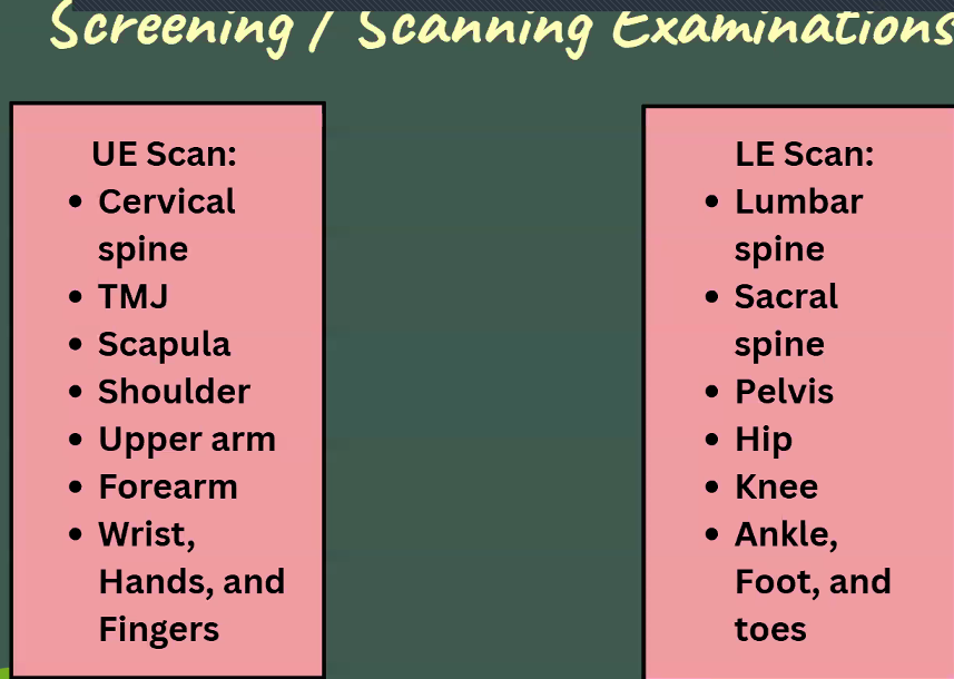 <p><strong>Screening </strong>Examination Guide: (Type 1)</p>