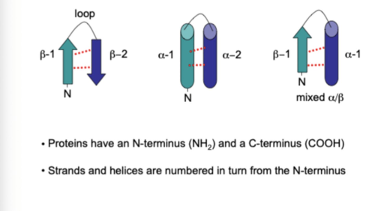 <p>Alpha = cylinder</p><p>Beta = arrows</p>