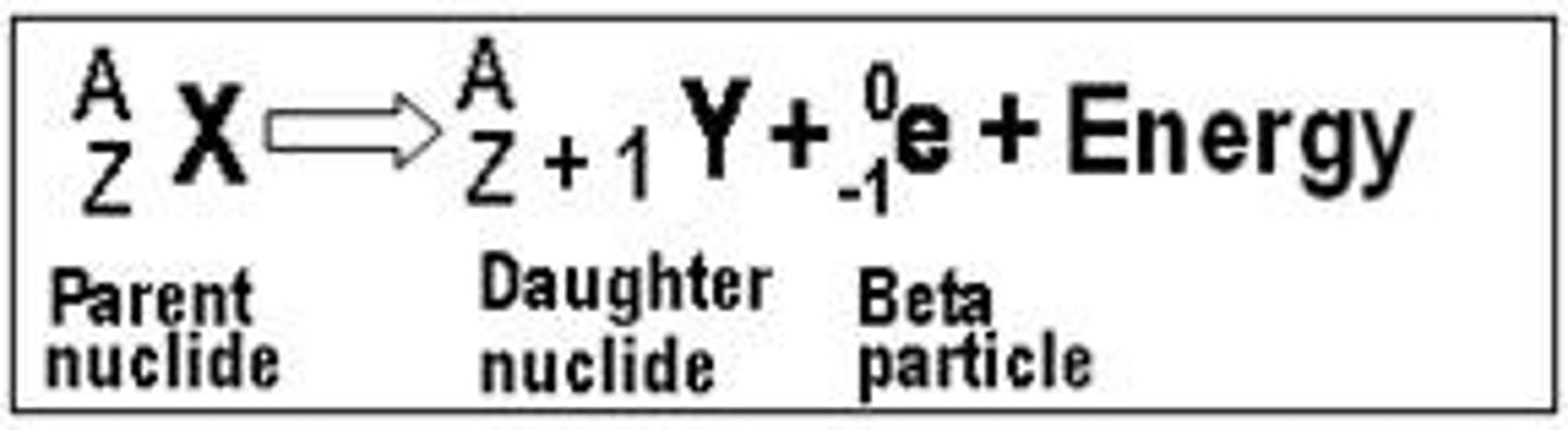<p>proton is converted into a neutron</p><p>(Beta+ decay occurs in nuclides that are neutron deficient. Thus the neutron/proton ratio is increased by converting a proton to a neutron and emitting excess energy in the form of a positron.)</p>