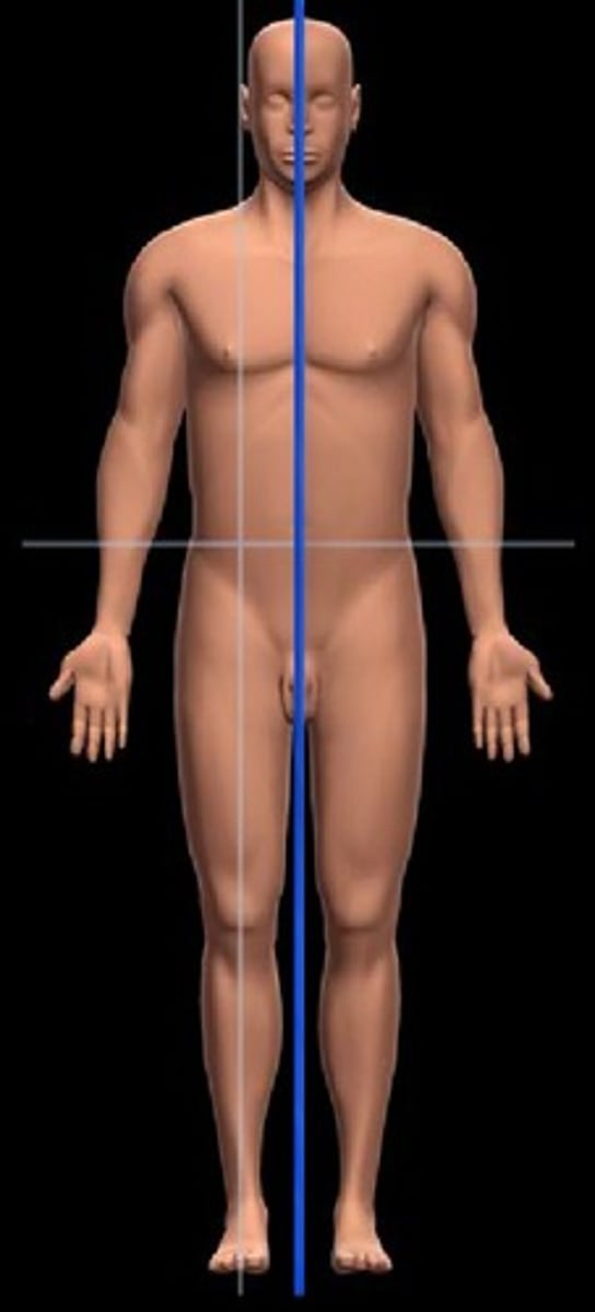 <p>Divides the body into equal right and left halves.</p><p>Also known as a Median Plane.</p>