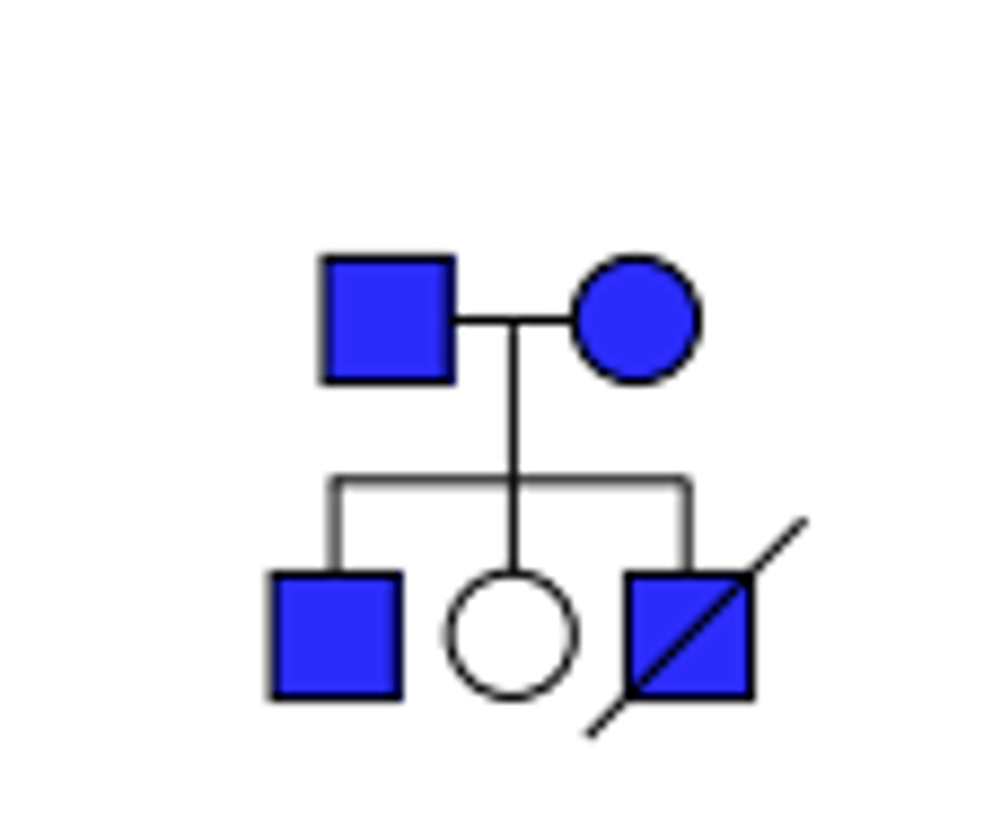 <p>Pattern of inheritance?</p>