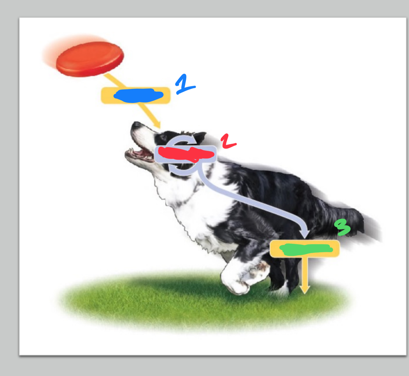 <ol><li><p>?</p></li><li><p>?</p></li><li><p>?</p></li></ol><p></p><p>Integration, response, reception&nbsp;</p>