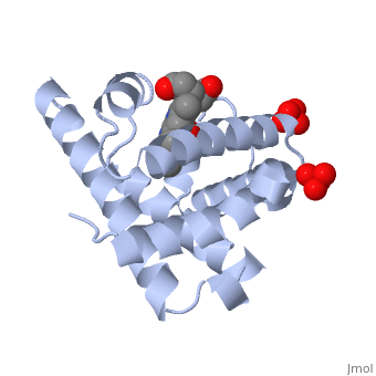 <ul><li><p>Three dimensional folding pattern of a protein due to side chain interactions</p></li><li><p>Bonds: between R-Groups</p><ul><li><p><strong>Hydrogen bonds: </strong>helps stabilise protein molecule</p></li><li><p><strong>Disulfide bonds: </strong>strong covalent formed by oxidation of -SH groups in cystein side-chains</p></li><li><p><strong>LDF: </strong>when two molecules are close to eachother they can appear</p></li><li><p><strong>Ionic bonds: </strong>Weak electrostatic interactions</p></li></ul></li><li><p>Example: myoblin or enzymes</p></li></ul>